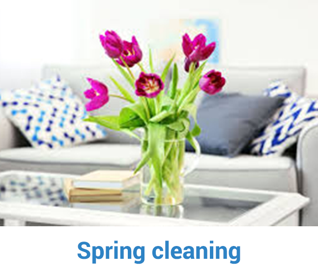 Cleanmate spring cleaning
